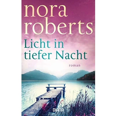 Abbildung von Licht in tiefer Nacht: Roman