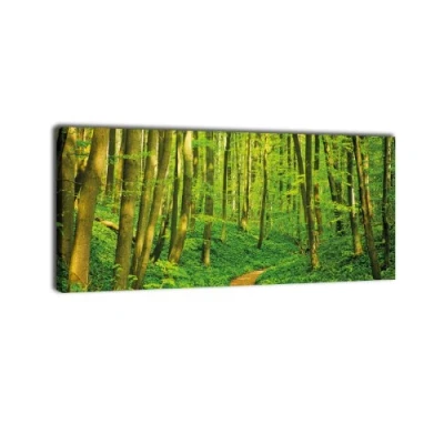 Abbildung von wandmotiv24 Leinwandbild Panorama Nr. 286 Waldpfad 100x40cm, Keilrahmenbild, Bild auf Leinwand, Wald Baum Natur