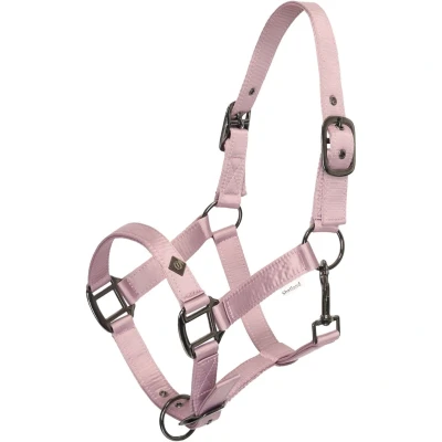 Abbildung von Imperial Riding SS25 Halster Rebel PonyVerkauft von HypoStore