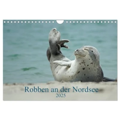 Abbildung von Robben an der Nordsee (Wandkalender 2025 DIN A4 quer), CALVENDO Monatskalender