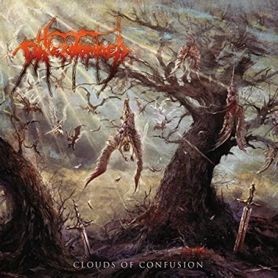 Abbildung von Clouds of Confusion [Vinyl LP]