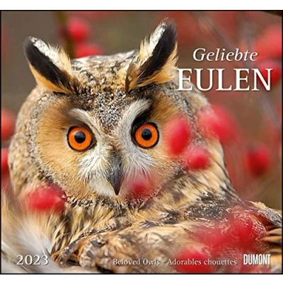 Abbildung von Geliebte Eulen 2023 DUMONT Wandkalender mit den wichtigsten Feiertagen Format 38,0 x 35,5 cm