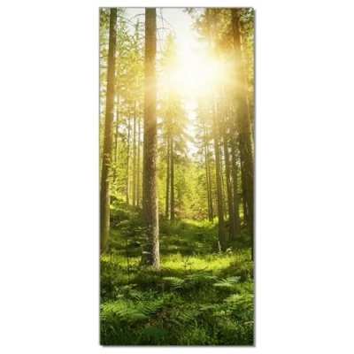 Abbildung von Wallario Selbstklebende Türtapete Sonnenstrahlen im Nadelwald mit Moos und Farn Türposter 93 x 205 cm Abwischbar, rückstandsfrei zu entfernen