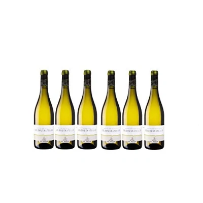 Abbildung von St. Pauls Goldmuskateller Alto Adige DOC Südtiroler Weißwein Wein trocken (6 Flaschen)