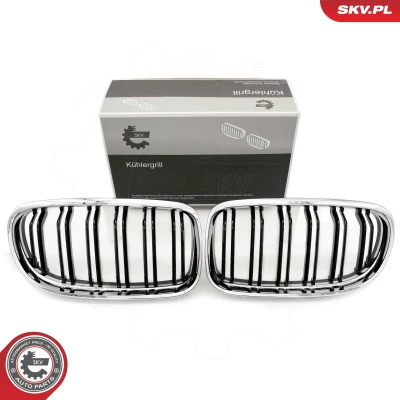 Abbildung von ESEN SKV 66SKV102 Kühlergrill chrom BMW: 3 Cabrio, Coupe