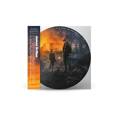 Abbildung von It&#039;ll All Make Sense In The End Picture Vinyl (exklusiv bei Amazon.de) [Vinyl LP]