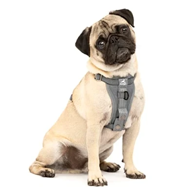 Abbildung von Kurgo TRU Fit Hundegeschirr, Crash Test erprobtes Auto Sicherheitsgurt, Für Hunde von 2 bis 5 kg, Größe XS, Grau