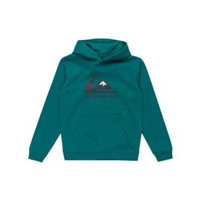 Abbildung von Quiksilver Big Logo Hoodie Pullover aus Fleece Kind
