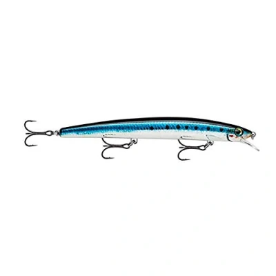 Abbildung von Rapala MaxRap Angelköder Angelzubehör mit aerodynamischem Profil Salzwasser Spinnköder Lauftiefe 0,3 0,9m Fischköder 11cm, 13g Hergestellt in Estland Live Sardine