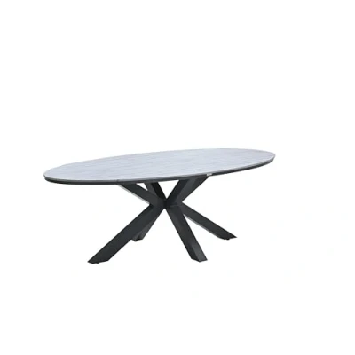 Abbildung von Gardissimo Gartentisch Esstisch Armati dunkel 220x115 cm oval, Tisch Nonwood, höhenverstellbare Füße / absolut wetterfest pflegeleicht Aluminium