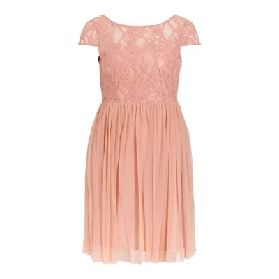 Abbildung von Vila Midikleid ULRICANA (1 tlg) Spitze