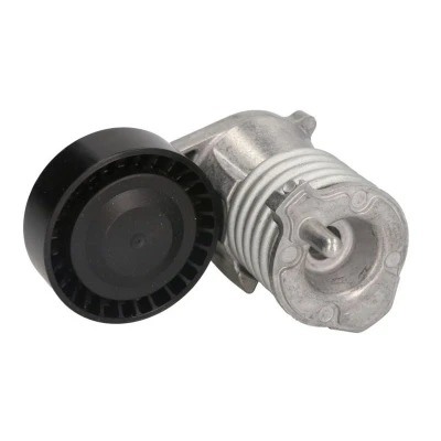 Abbildung von SNR GA365.39 Spannrolle FORD: Focus 2 Schrägheck, VOLVO: V50, S40 II, C30