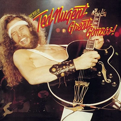 Abbildung von Best of Ted Nugent