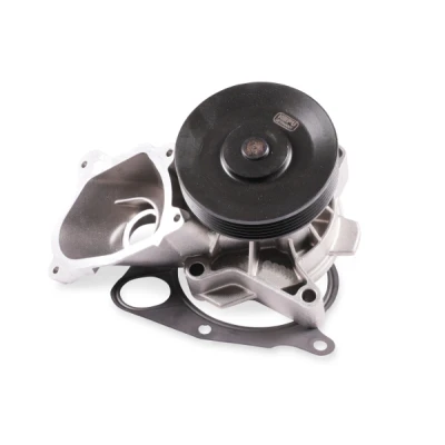 Abbildung von HEPU P2605 Wasserpumpe mit Keilrippenriemenscheibe Dichtung mechanisch LAND ROVER: Freelander I SUV, SUV Cabrio, 75