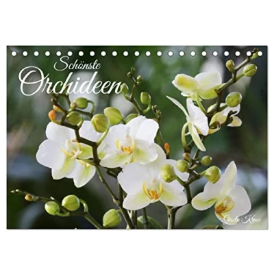 Abbildung von Schönste Orchideen (Tischkalender 2025 DIN A5 quer), CALVENDO Monatskalender