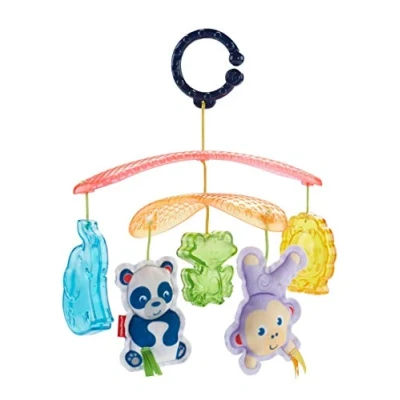 Abbildung von Mattel Fisher Price DYW54 Buggy Mobile, mehrfarbig