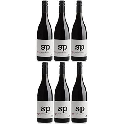 Abbildung von Thomas Hensel Aufwind Spätburgunder Rotwein Wein trocken Pfalz Deutschland (6 Flaschen)