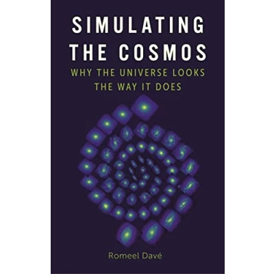 Abbildung von Simulating the Cosmos: Why Universe Looks Way It Does