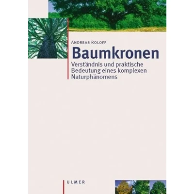 Abbildung von Baumkronen: Verständnis und praktische Bedeutung eines komplexen Naturphänomens: Verständnis, Zusammenhänge Anwendung