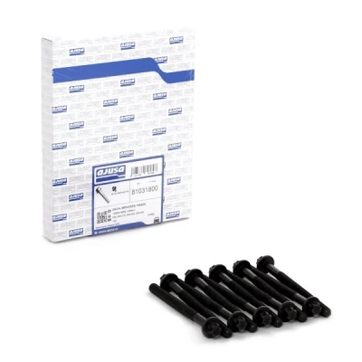 Abbildung von AJUSA 81031800 Zylinderkopfschraubensatz Außen Torx 10 RENAULT: CLIO 2, Kangoo I, 3, DACIA: Lodgy, Duster SUV, SANDERO NISSAN: Qashqai 2