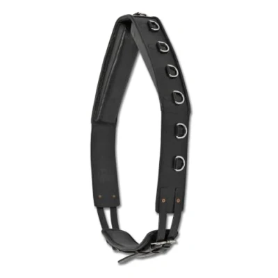 Abbildung von Waldhausen Longiergurt mit Ringen Schwarz Warmblut
