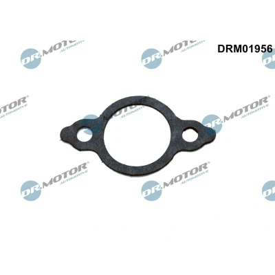 Abbildung von DR.MOTOR AUTOMOTIVE DRM01956 Dichtung, Leitung AGR Ventil NISSAN: NP300 Navara Pickup, Pritsche / Fahrgestell