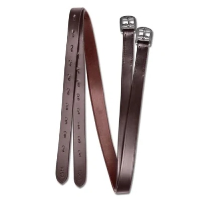 Abbildung von Waldhausen STAR Steigbügelriemen 130 Braun