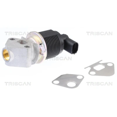 Abbildung von TRISCAN 8813 29009 AGR Ventil elektrisch mit Dichtungen VOLKSWAGEN: Golf 4 Schrägheck, Polo IV 5 SKODA: Octavia 2 Combi