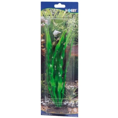 Abbildung von Dohse Crinum, 29 cm