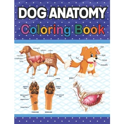 Abbildung von Dog Anatomy Coloring Book: Book for Kids Adults Boys Girls Teens and Medical Students. Great Learn Understand ... Veterinary Students &amp; Teachers.