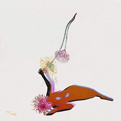 Abbildung von The Far Field [Vinyl LP]