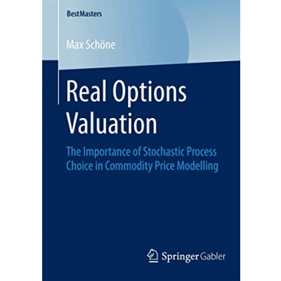 Abbildung von Real Options Valuation: The Importance of Stochastic Process Choice in Commodity Price Modelling (BestMasters)