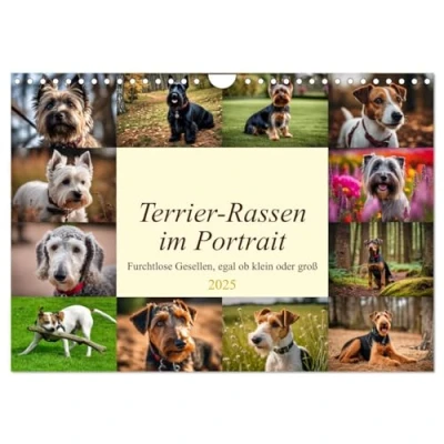 Abbildung von Terrier Rassen im Portrait (Wandkalender 2025 DIN A4 quer), CALVENDO Monatskalender