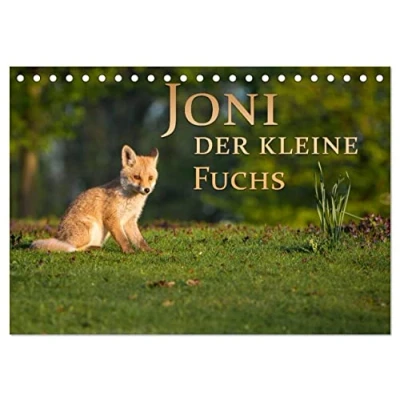 Abbildung von Joni, der kleine Fuchs (Tischkalender 2025 DIN A5 quer), CALVENDO Monatskalender