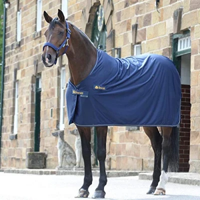 Abbildung von Bucas Prize Cooler Navy/Gold