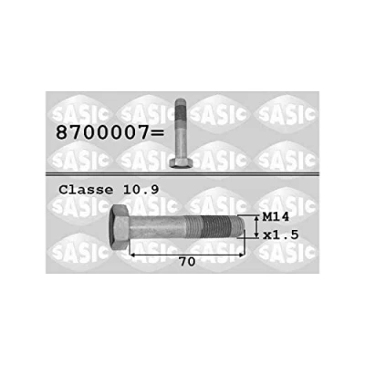 Abbildung von SASIC 8700007 Riemenscheibenschraube PEUGEOT: 206+ Schrägheck, 807, 406 Coupe, CITROËN: C8, C5 II Kombi, 3
