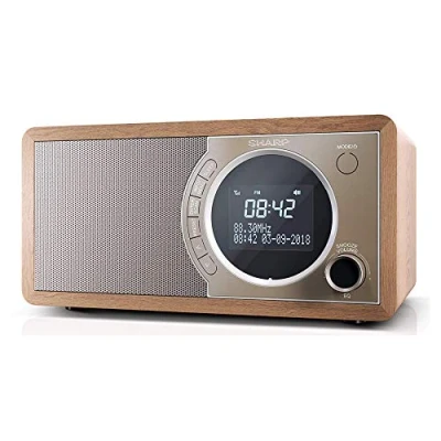 Abbildung von Sharp DR 450 Digitalradio (DAB) (Automatische Senderverfolgung, (DAB), FM Tuner mit RDS, 6 W)