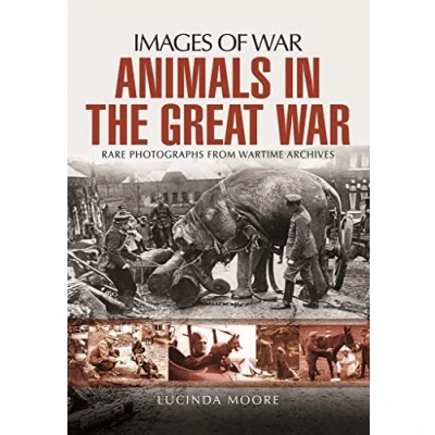 Abbildung von Animals in the Great War: Rare Photographs from Wartime Archives (Images of War)