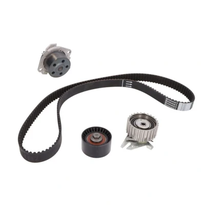 Abbildung von CONTITECH CT877WP1 Wasserpumpe + Zahnriemensatz 168 ALFA ROMEO: Spider, GTV, 156 Sportwagon, FIAT: Coupe