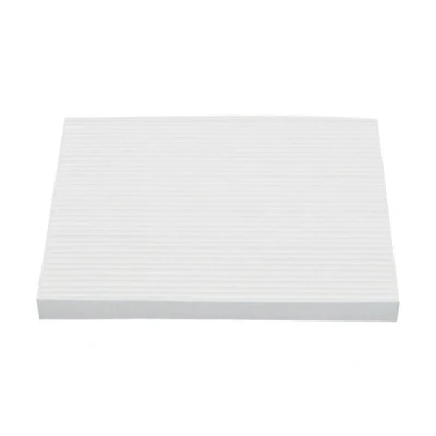 Abbildung von AMC Filter HC 8216 Innenraum