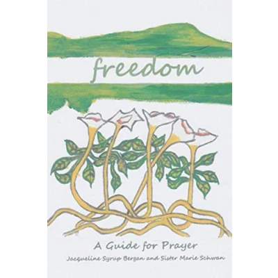 Abbildung von Freedom: A Guide for Prayer (Take and Receive, Band 5)