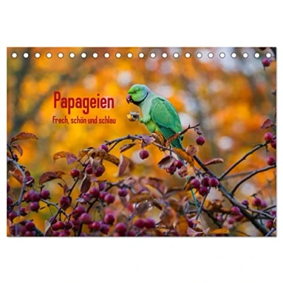 Abbildung von Papageien Frech, schön und schlau (Tischkalender 2025 DIN A5 quer), CALVENDO Monatskalender