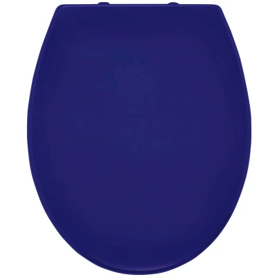 Abbildung von Ridder WC Sitz Miami, mit Softclose