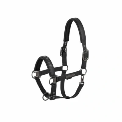 Abbildung von Eskadron Halfter Faux Leather Platinum &#039;25 Schwarz XWarmblut Agradi.deVerkauft von Agradi