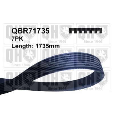 Abbildung von QUINTON HAZELL QBR71735 Keilrippenriemen 1735 7 NISSAN: NP300 Navara Pickup, Pritsche / Fahrgestell, HONDA: CR V 2