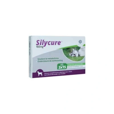 Abbildung von Fendigo Silycure 160 mg 30 Tabletten