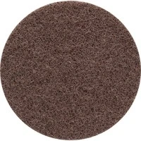 Abbildung von Expert Vliesscheibe N880 Grob, Ø 150mm, Schleifblatt