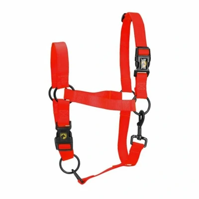 Abbildung von Excellent Horse Essential Halfter S Rot