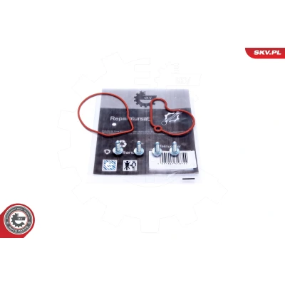 Abbildung von ESEN SKV 18SKV807 Reparatursatz Vakuumpumpe VOLKSWAGEN: Golf 4 Schrägheck, Polo IV Variant, SKODA: Octavia 1 Combi