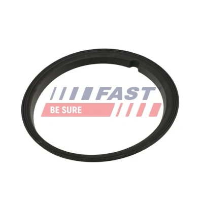 Abbildung von FAST FT48502 Dichtung, Tankgeber PEUGEOT: Bipper Kastenwagen, FIAT: Fiorino III Kasten / Kombi